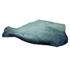 Frozen Pangasius Hgt